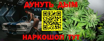 дмт Канаш