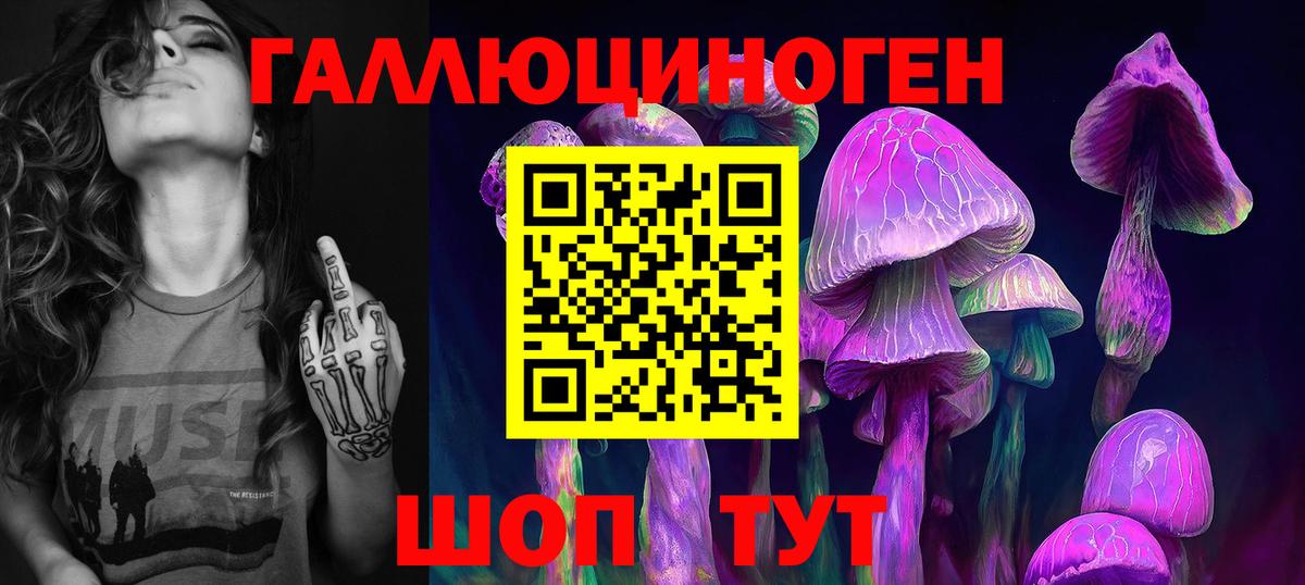 Галлюциногенные грибы Psilocybe Майский